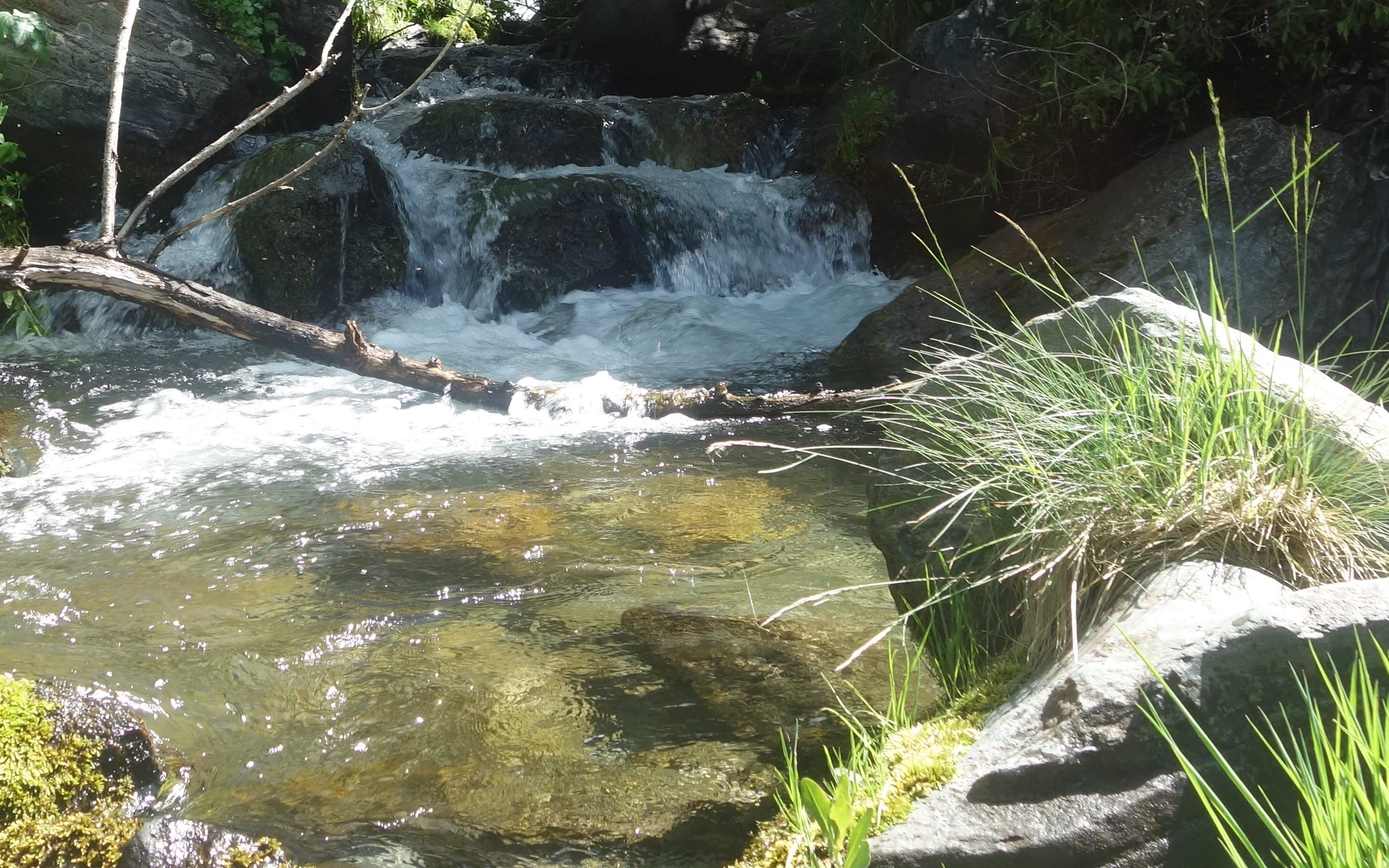 Ein Bach fließt über bemooste Felsstufen in ein klares Becken